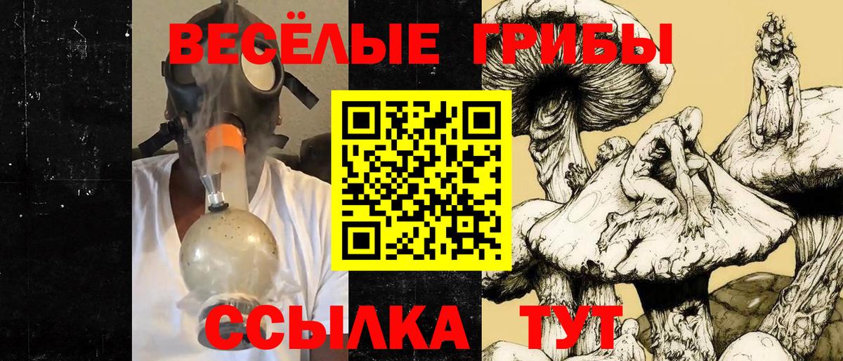 Галлюциногенные грибы Psilocybine cubensis Подольск