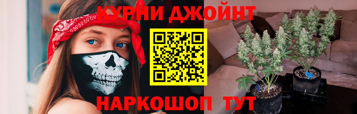 МАРИХУАНА семена Подольск